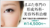 top-slidebnr-pc_まぶた 0447a53949b0b520f787d5cb93912643