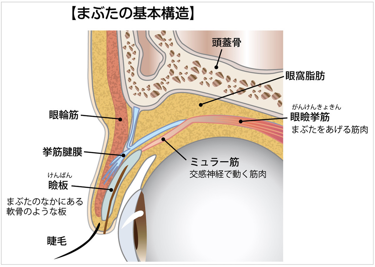 無題 0d40a5e4a645fc6b96e767d64ac0878e-4