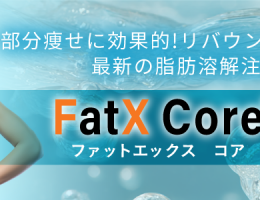 FatXCore FatXCore