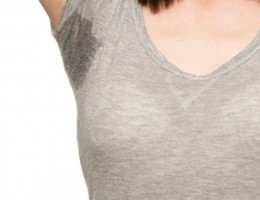 o0841060215292930198 o0841060215292930198