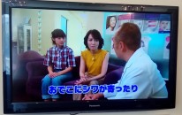 テレビ取材